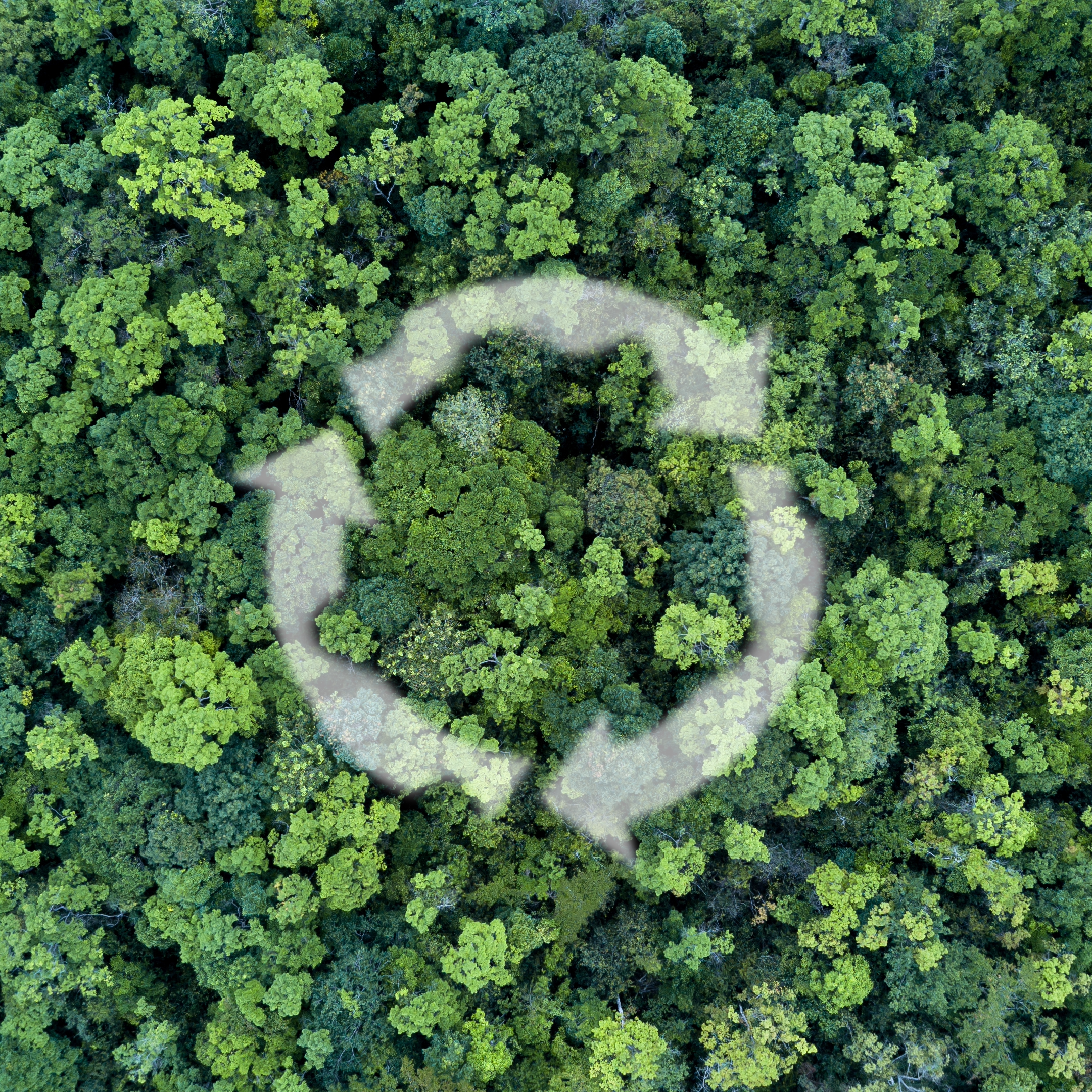 Respect de l'environnement 